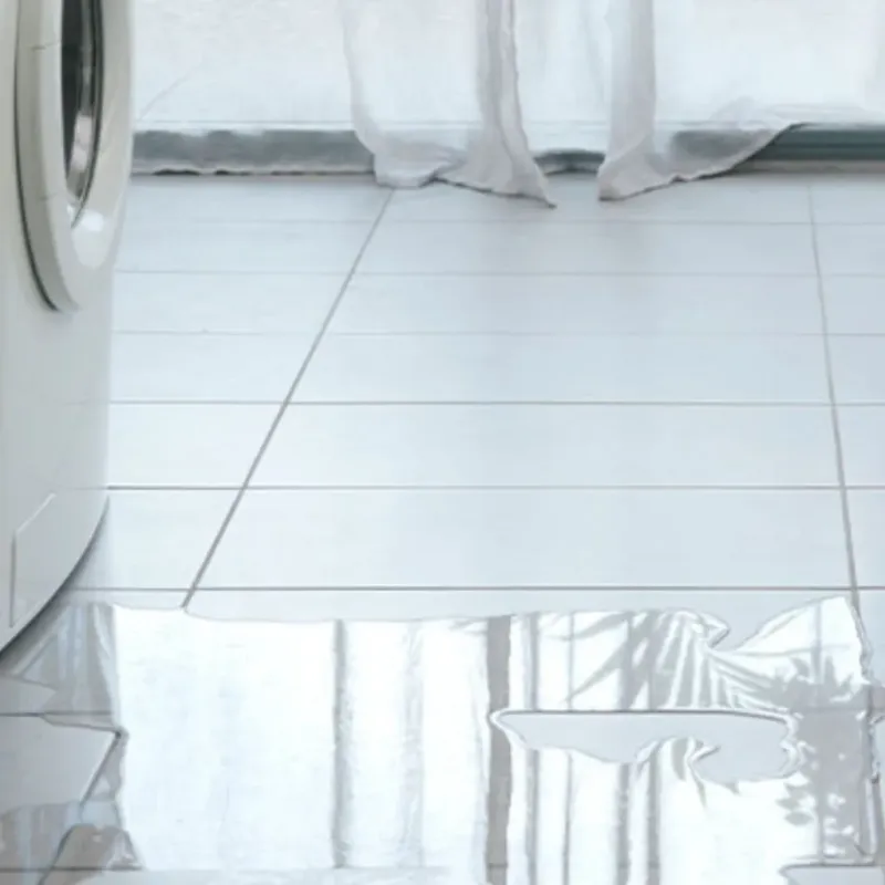 Appliance Leak Cleanup in Salem, MO