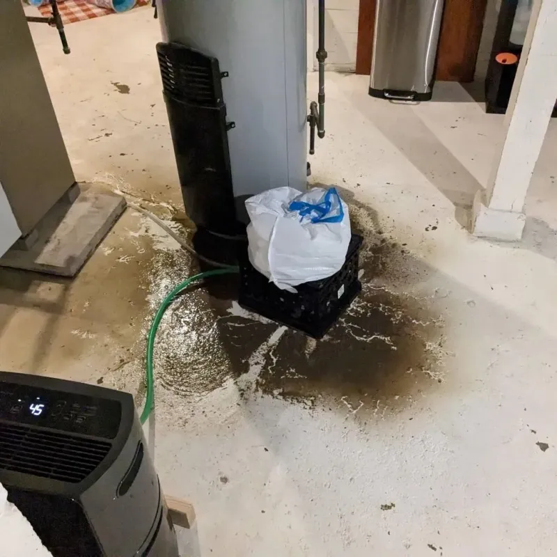 Sewage Backup Cleanup Service in Salem, MO